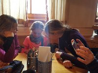 2019-01-23 15.22.09  IICSA